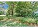 A lush green backyard with mature trees and tropical foliage create a private oasis at 2811 Barret Ave, Plant City, FL 33566