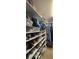 Spacious closet featuring built-in shelving for shoe and personal storage, along with hanging racks for clothing at 2811 Barret Ave, Plant City, FL 33566