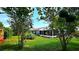 Backyard with lush green grass, a screened patio, and mature trees at 3907 Orchard Hill Cir, Palm Harbor, FL 34684