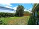 Backyard featuring lush green grass, a large tree, and well-maintained fence at 3907 Orchard Hill Cir, Palm Harbor, FL 34684