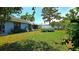 Lush backyard with green grass, mature trees, and well-maintained landscaping at 3907 Orchard Hill Cir, Palm Harbor, FL 34684