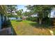 Large backyard with a lush green lawn, mature trees, and a partial view of a fence at 3907 Orchard Hill Cir, Palm Harbor, FL 34684