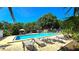 Relaxing community pool with lounge chairs, lush greenery, and clear blue water at 3907 Orchard Hill Cir, Palm Harbor, FL 34684
