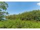 Beautiful waterfront view of lush trees and a calm creek at 5435 Sweetwater Terrace Cir, Tampa, FL 33634