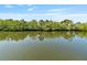 Calm canal behind lush green foliage offers quiet privacy at 6726 Udell Ln, Hudson, FL 34667