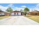 Charming single-story home featuring a concrete driveway and tropical landscaping at 6915 N Hubert Ave, Tampa, FL 33614