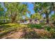 The backyard view of this home features mature landscaping including live oak trees and Spanish moss at 810 W River Dr, Temple Terrace, FL 33617