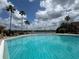 Community pool featuring lounge chairs and palm trees, perfect for relaxation at 9602 Lake Chase Island Way # 9602, Tampa, FL 33626