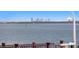 Scenic waterfront view showcasing tranquil waters and distant city skyline from a beautiful property at 100 Sands Point Dr, Tierra Verde, FL 33715