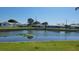 Calm lake view from backyard, surrounded by well-maintained landscaping and neighboring houses at 10040 38Th N Way, Pinellas Park, FL 33782