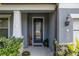 Stylish front door with decorative glass and lush landscaping at 10313 Wine Press Ave, Riverview, FL 33578
