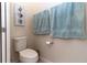 Toilet features nearby wall decor with matching light blue towels on a rack at 10313 Wine Press Ave, Riverview, FL 33578