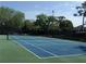 A community tennis court featuring a well-kept playing surface and secure fencing for recreational enjoyment at 105 Woodlake Wynde, Oldsmar, FL 34677