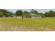 Spacious green yard with palm trees, an American flag, and a view of the home's exterior at 12501 Palomino Ct, Tampa, FL 33626
