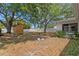 The backyard with a shed, and lush greenery, creating a serene outdoor space at 133 43Rd Ne Ave, St Petersburg, FL 33703