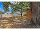 Expansive backyard featuring mature trees and a partial view of the property fence at 133 43Rd Ne Ave, St Petersburg, FL 33703