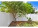 Backyard with a lush mango tree along a white fence, promising shade and fresh fruit at 13404 Fladgate Mark Dr, Riverview, FL 33579