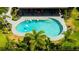 Aerial view of kidney-shaped pool surrounded by patio and lush tropical landscaping at 13916 Wellesford Way, Tampa, FL 33624