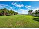 Wide open backyard showcasing green grass and mature trees, perfect for outdoor enjoyment at 1521 Avondale Ridge Dr, Plant City, FL 33567