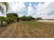 Expansive backyard featuring lush palm trees and ample green space, perfect for outdoor activities at 1521 Avondale Ridge Dr, Plant City, FL 33567