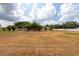Sprawling backyard, an open canvas for creating your ultimate outdoor retreat, perfect for Gathering fun at 1521 Avondale Ridge Dr, Plant City, FL 33567