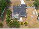 Screened-in pool and patio surrounded by palms and greenery, creating a serene outdoor living space at 1521 Avondale Ridge Dr, Plant City, FL 33567