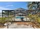 Backyard featuring pool and patio in screened enclosure with some landscaping at 2219 Summit View Dr, Valrico, FL 33596
