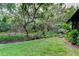 Expansive backyard featuring mature trees and lush greenery, providing a private outdoor space at 2913 Fig Ct, Palm Harbor, FL 34684
