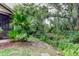 Scenic backyard with mature trees, a small creek, and plenty of natural vegetation at 2913 Fig Ct, Palm Harbor, FL 34684