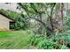Lush backyard featuring mature trees and vegetation providing privacy and shade at 2913 Fig Ct, Palm Harbor, FL 34684