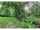 Lush backyard with mature trees and greenery, offering privacy and a natural setting at 2913 Fig Ct, Palm Harbor, FL 34684