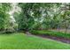 Lush backyard featuring mature trees and a well-maintained lawn, creating a serene atmosphere at 2913 Fig Ct, Palm Harbor, FL 34684