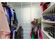 Walk-in closet with metal shelving and multiple storage options at 2913 Fig Ct, Palm Harbor, FL 34684