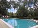 Community swimming pool featuring clear water and a relaxing outdoor setting with lounge chairs at 2913 Fig Ct, Palm Harbor, FL 34684