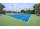 Bright blue community tennis court with net and green surround at 29713 Bright Ray Pl, Wesley Chapel, FL 33543