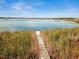 Inviting dock and peaceful lake scenery offer a tranquil outdoor retreat at 32231 Conchshell Sail St, Wesley Chapel, FL 33545