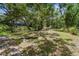 Expansive backyard with some mature trees, greenery, and landscaping at 48 Bishop Creek Dr, Safety Harbor, FL 34695