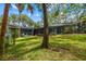 Backyard view of screened-in lanai, lush lawn and mature trees on a sunny day at 48 Bishop Creek Dr, Safety Harbor, FL 34695