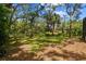 Expansive backyard with mature trees offering ample shade and privacy at 48 Bishop Creek Dr, Safety Harbor, FL 34695