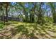 Expansive backyard featuring mature trees and lush greenery and a screened lanai on a sunny day at 48 Bishop Creek Dr, Safety Harbor, FL 34695