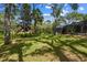 Lush backyard showcasing well-maintained lawn and scenic landscaping at 48 Bishop Creek Dr, Safety Harbor, FL 34695
