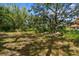 Large, shady backyard with a few mature trees and glimpse of home at 48 Bishop Creek Dr, Safety Harbor, FL 34695