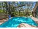 Large, screened-in pool with brick patio and lush green surroundings at 48 Bishop Creek Dr, Safety Harbor, FL 34695