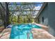 Sparkling pool inside a screened enclosure, offering privacy and comfort at 48 Bishop Creek Dr, Safety Harbor, FL 34695