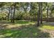 Expansive backyard with lush lawn and mature trees, perfect for outdoor activities and relaxation at 502 Creekside Ct, Safety Harbor, FL 34695
