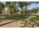Expansive backyard with lush greenery and a screened enclosure at 502 Creekside Ct, Safety Harbor, FL 34695