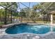 Gorgeous screened-in pool with waterfall feature, mature trees, and lanai at 502 Creekside Ct, Safety Harbor, FL 34695