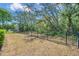 Fenced backyard with a backdrop of mature trees, providing a serene and private outdoor space at 5117 Longspur Ct, Lithia, FL 33547