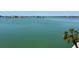 Gorgeous waterfront view showcasing a calm bay with a tree in the foreground at 7910 Sun Island S Dr # 404, South Pasadena, FL 33707