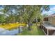 View of a peaceful lake from backyard with a large tree on property at 9050 Lake Place Ln, Tampa, FL 33634